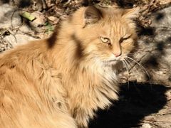 -北京西山国家森林公园