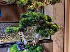 -海底捞火锅(大唐店)