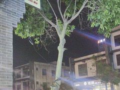-清爽清补凉