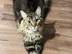 -达爱动物医院·犬猫分区·CT·复杂眼科(远洋山水分院)
