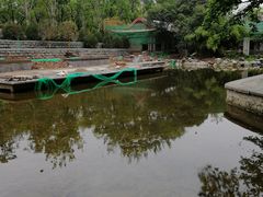 -莲湖公园