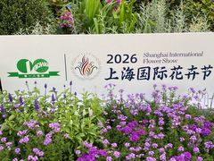 -上海第一八佰伴
