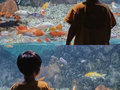 -常州海昌海洋探索馆