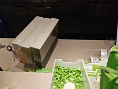 -奈雪的茶(M+世纪都会广场店)