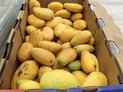 -Tomado绿色烘焙(大尧三路店)