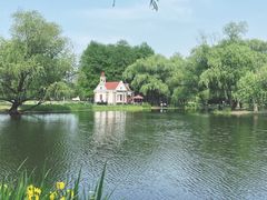 -上海共青森林公园