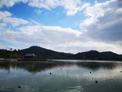 -顺峰山公园
