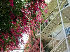 -怡得观滇餐厅·地道昆明菜·1996(海埂大坝店)