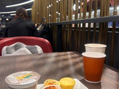 -米兰马尔彭萨国际机场