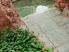 -青岛海泉湾度假区温泉