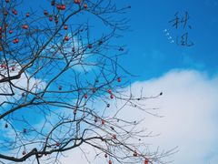 -品雅轩农家乐