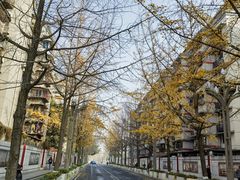 -四川大学(望江校区)