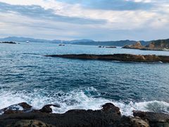 -金盆阿嬷香菇茶叶蛋(玄光店)