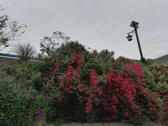 -白帝城·瞿塘峡景区