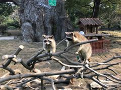 -宁波野生动物园