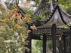 -墨池公园