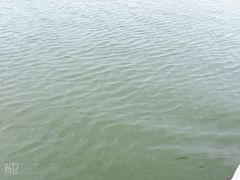 -金沙湖旅游度假区