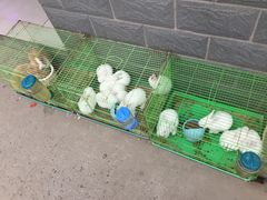 -秦美花卉(天朗·莱茵小城2期店)