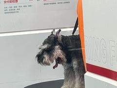 -良木缘咖啡西餐(优品道广场店)