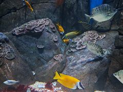 -成都浩海立方海洋公园