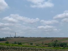 -烧蠔帮·生蚝海鲜牌档(观海店)