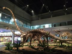 -自贡恐龙博物馆