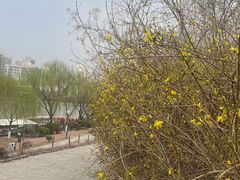 -南翠屏公园