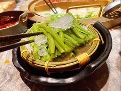 -麻路成都火锅(柏威年店)