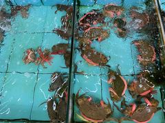 -景好海鲜餐厅(大鹏必选旅游店)