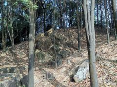 -火炉山森林公园