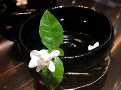 -茶是一枝花泡茶店