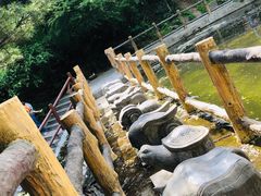 -王顺山国家森林公园