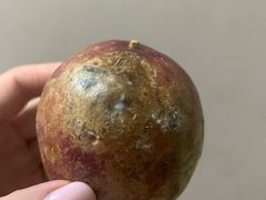 -鲜力达果品批发直销(无锡保利香槟店)