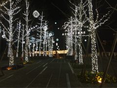 金奥费尔蒙酒店-南京金奥国际酒店