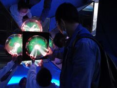 -陕西自然博物馆