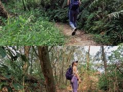 -风云岭森林公园