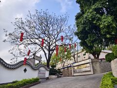 -广州神农草堂中医药博物馆