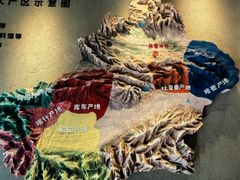 -新疆国际大巴扎