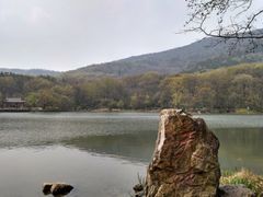 -紫霞湖公园