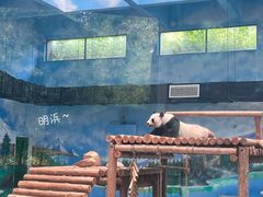 -柳州市动物园