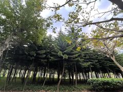 -五通灯塔公园