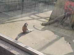 -宿豫区运河湾森林动物园