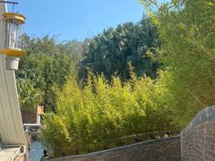 -凤阁楼果木烧鹅(鹤山陈山店)