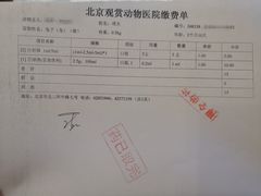 -北京观赏动物医院·24小时大型综合·猫专科·异宠专科