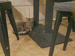 -逃脱反斗城沉浸剧情密室(北京路店)