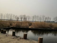 -绿堤公园