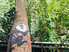 -呀路古热带植物园