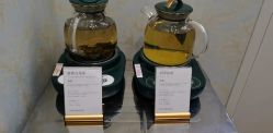 -YESIDO椰岛造型