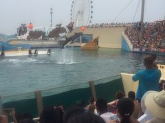 -秦皇岛乐岛海洋王国