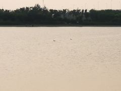 -天津金海湖